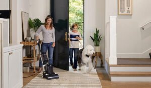 Read more about the article The Ultimate Guide to Keeping Your Home Clean with Pets